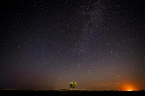 A lonely tree against the background of the starry sky Stock Photos