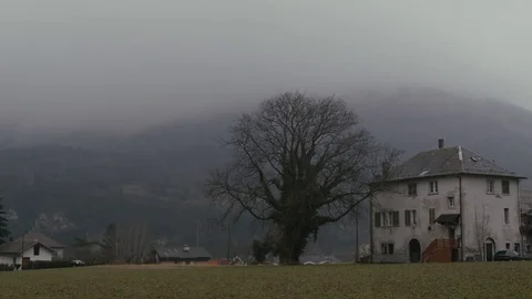 Lonely tree and house Stock Footage 77807555