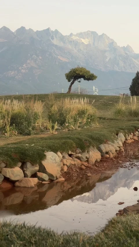 Lonely Tree and Jade Dragon Snow Mountain Reflection Stock Footage 330096534