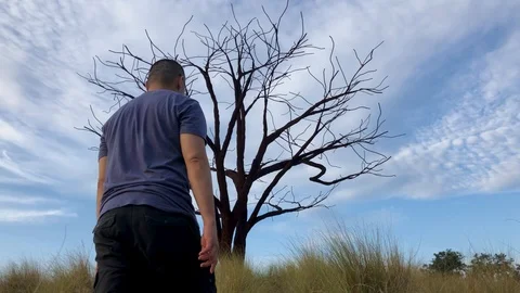 Lonely tree and a man walking Stock Footage 126686412