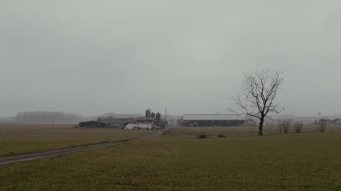 Lonely tree and road Stock Footage 78138391