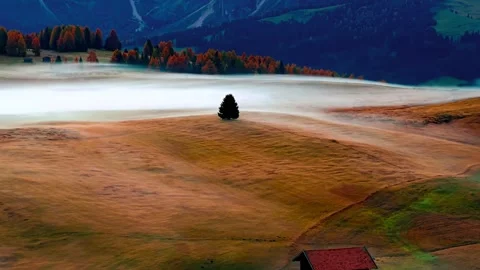 Lonely tree on autumn hillside in dolomites with mist at sunrise showcasing Stock Footage 344240883