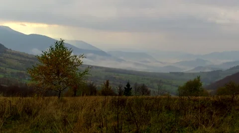 Lonely tree on a background of mountains and fog Stock Footage 68807118