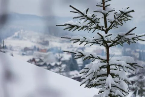 Lonely tree on a background of mountains Foto stock