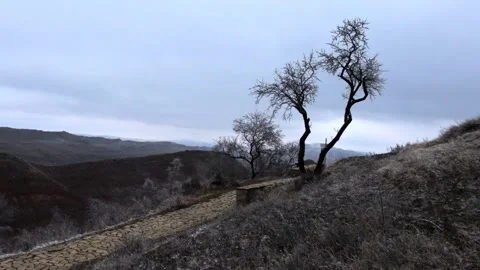 Lonely tree in a beautiful winter valley on the border of Georgia and Azerbaijan Stock Footage 238822357