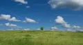 Lonely tree on blue sky and cloud background HD Footage