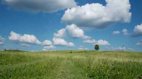 Lonely tree on blue sky and cloud background 스톡 동영상 52369556