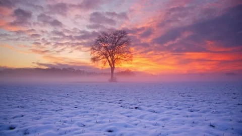 Lonely Tree In Clear Flat Snow Field at sunset , Slovenia Stock Footage 144783528