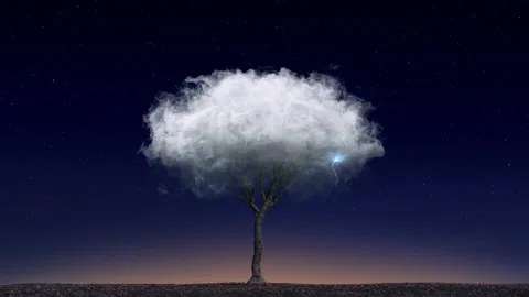 Lonely tree in a cloud on a background of the starry sky, sunset. Loneliness Stock Footage 136123153