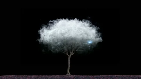 Lonely tree in a cloud on a black background . Loneliness, freedom, independence Video stock 136523151