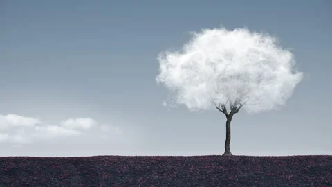 Lonely tree in the cloud. Smoke Fog Vaper 4K Close Up Isolated Stock Footage 131584016