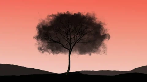 Lonely tree in a cloud at sunset in the desert. Loneliness, freedom Stock Footage 130811464