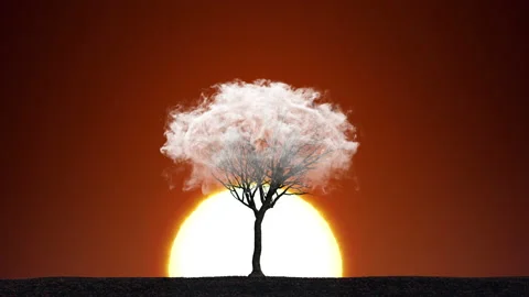 Lonely Tree in a Cloud at Sunset / Sunrise Background. Smoke Fog Vaper Close Up Stock Footage 136122492