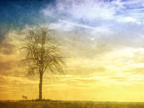 Lonely tree on cloudy sky with a small figure of horse Stock Illustration