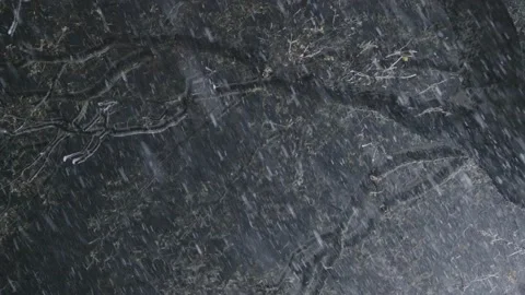 Lonely tree on field during night snow storm Stock Footage 142041748