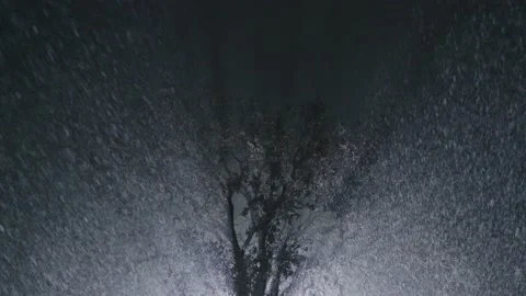 Lonely tree on field during night snow storm Stock Footage 142041780