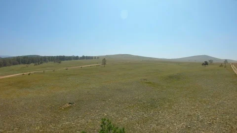 A lonely tree in a field Stock Footage 111705720