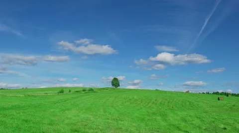 Lonely tree on field with hay bales 스톡 동영상 65936489