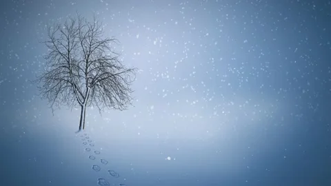Lonely Tree in a Field of Snow 4K Loop Stock Footage 145779637
