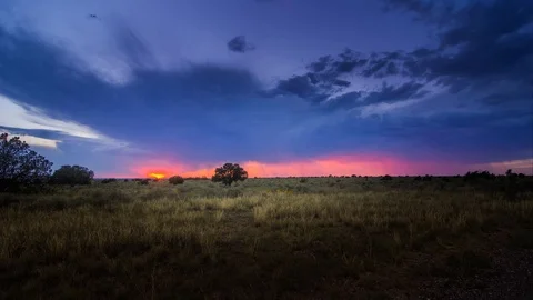 Lonely Tree Stock Footage 87219453