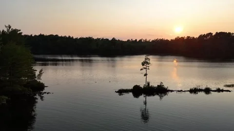 Lonely Tree Stock Footage 343561644