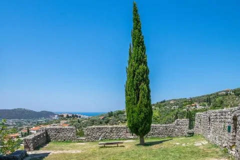 A lonely tree grows on top of a medieval fortress. Stock-Fotos