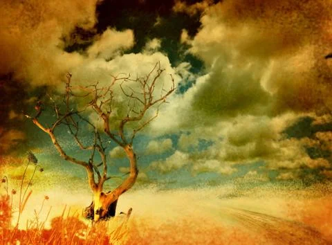 Lonely tree on grungy background Stock Photos