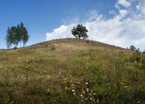 Lonely tree on a hill Stock-Fotos