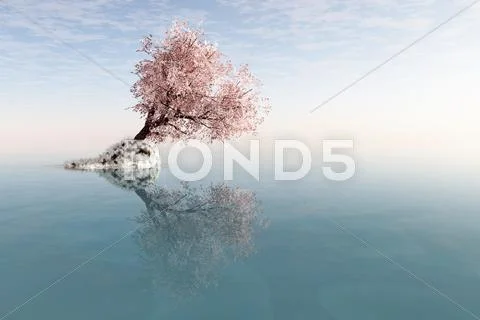 A lonely tree イラスト素材
