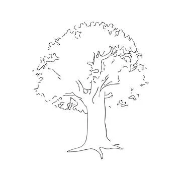 A lonely tree Stock Illustration