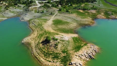 A lonely tree on a lake Stock Footage 247709663