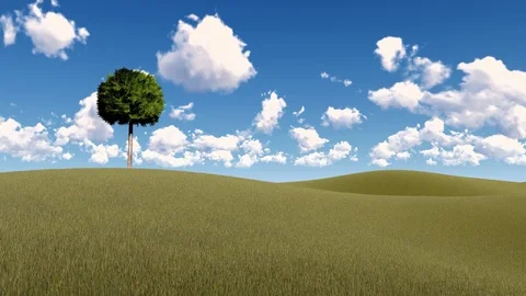 Lonely Tree on Meadow at Sky and Cloud Background, 3D Rendering, 4k Stock Footage 120420399