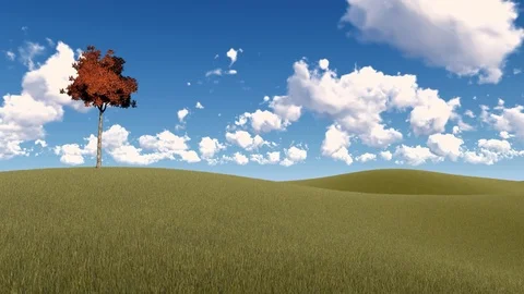 Lonely Tree on Meadow at Sky and Cloud Background, 3D Rendering, 4k Stock Footage 120420609
