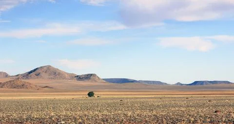 Lonely  tree in the middle of nowhere Stock Photos
