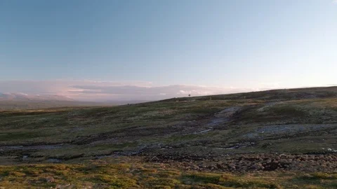 Lonely tree on mountain Stock-Footage 77074143