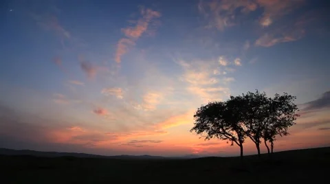Lonely tree in the mountains at sunset 動画素材 66256497