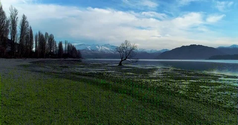 Lonely Tree Over Lake Stock Footage 79995128