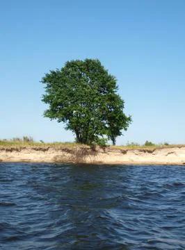 Lonely tree Stock Photos