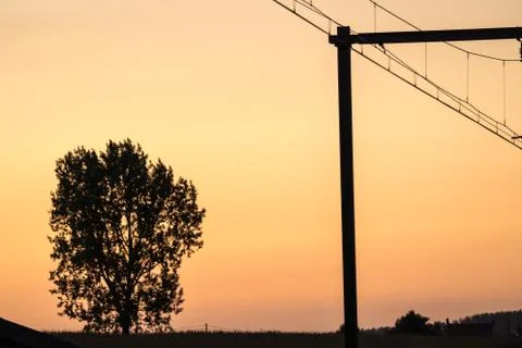 An lonely tree Stock Photos