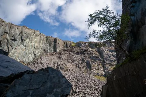 Lonely Tree Stockfoto's