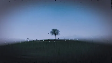 Lonely tree on rainy day Stock-Footage 40699333