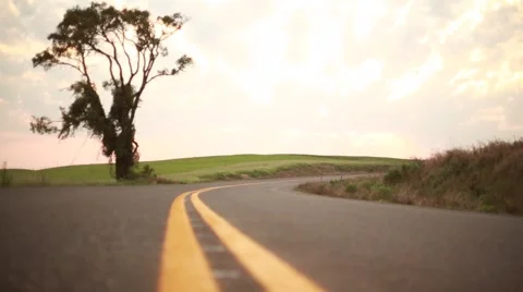 Lonely tree on the road Stock Footage 47911819