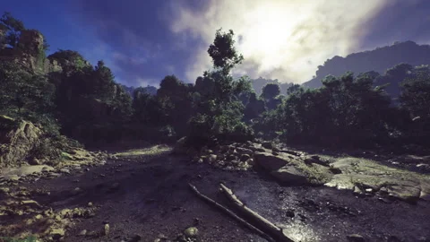 Lonely tree scene. Remote tree stands on wet mud with dark clouds overhead Stock Footage 343622791