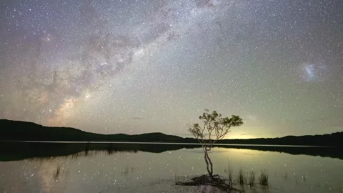 Lonely tree standing in serene lake under bright milky way galaxy during Stock Footage 343696653