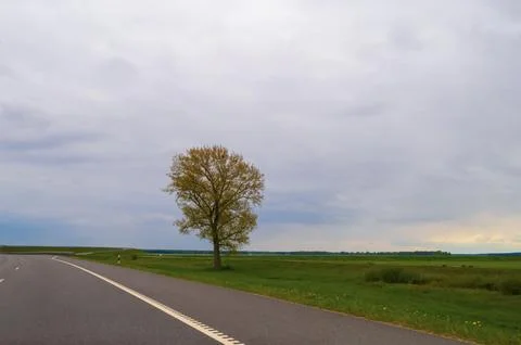 Lonely tree stands by the roadside in open countryside under dramatic sky, sy Stock Photos