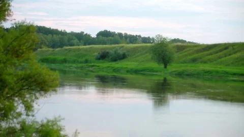 A lonely tree stands at the turn of the river Stock Footage 78365878
