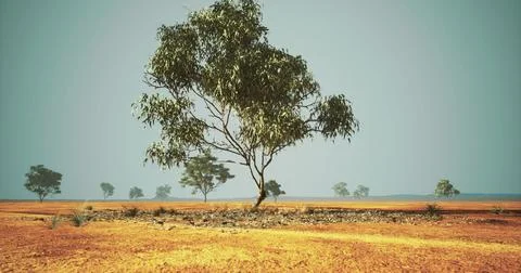 Lonely tree stands in vast arid landscape under clear blue sky during daytime Stock Illustration