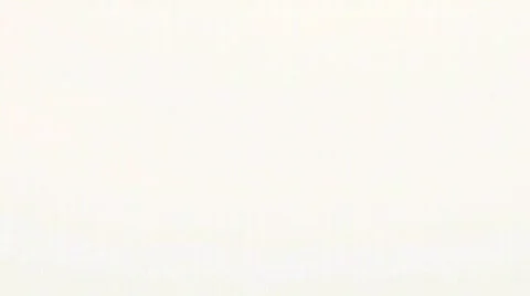 Lonely Tree Tilt Down Vídeo Stock 356599