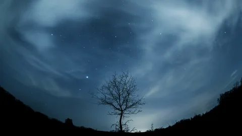 Lonely tree under starry sky 動画素材 88431580