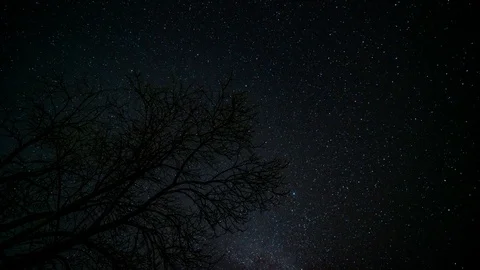Lonely tree under starry sky 4K TimeLapse Stock Footage 93377521